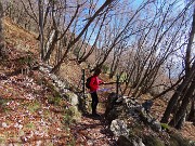 Monte Zucco ad anello fiorito da S. Antonio ABB. via Sonzogno-12 marzo 2026-FOTOGALLERY